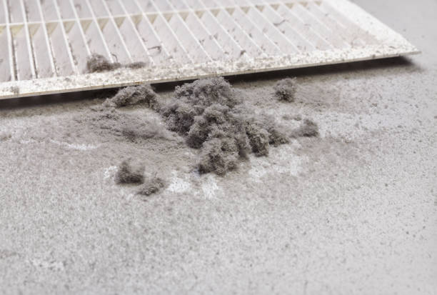 Best Best Air Duct Cleaning Near Me  in Adrian, MO