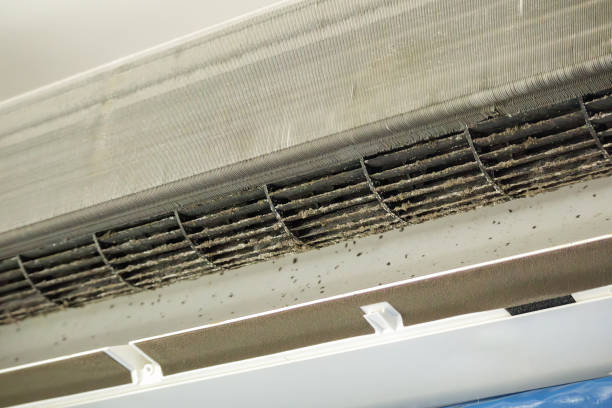 Best Local Air Duct Cleaning Services  in Adrian, MO